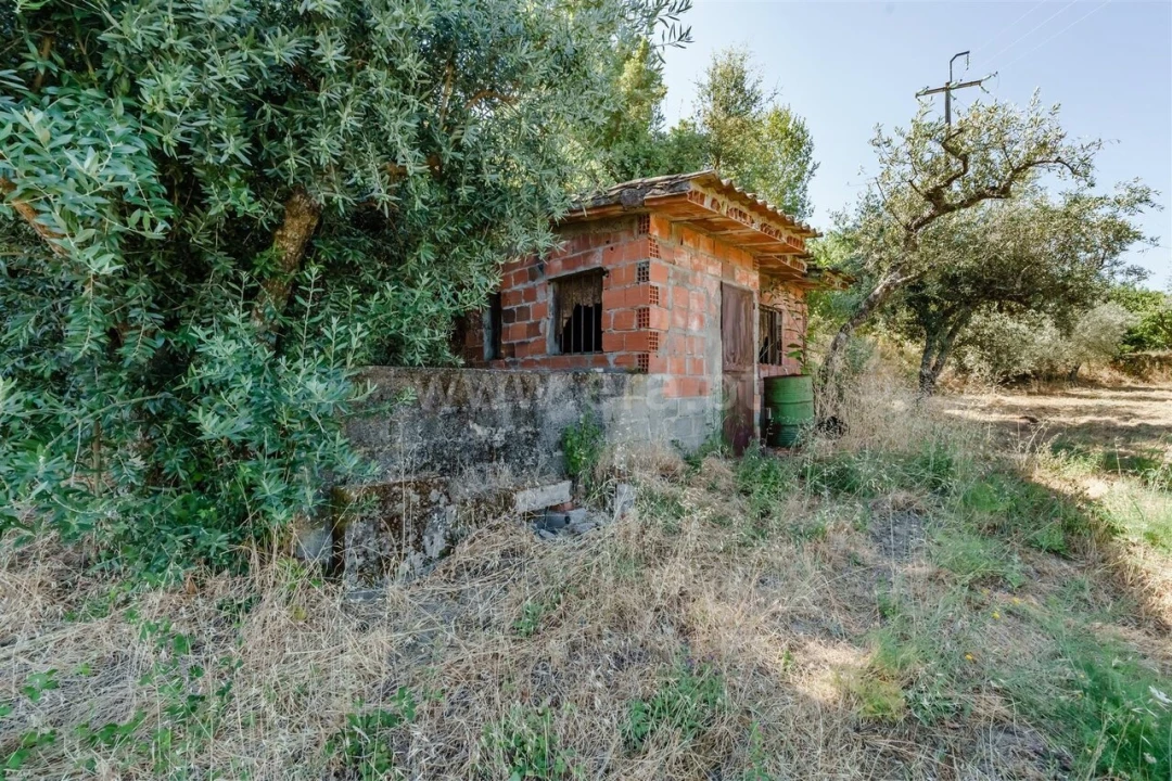 Terreno para Venda em Souto da Casa Foto 4