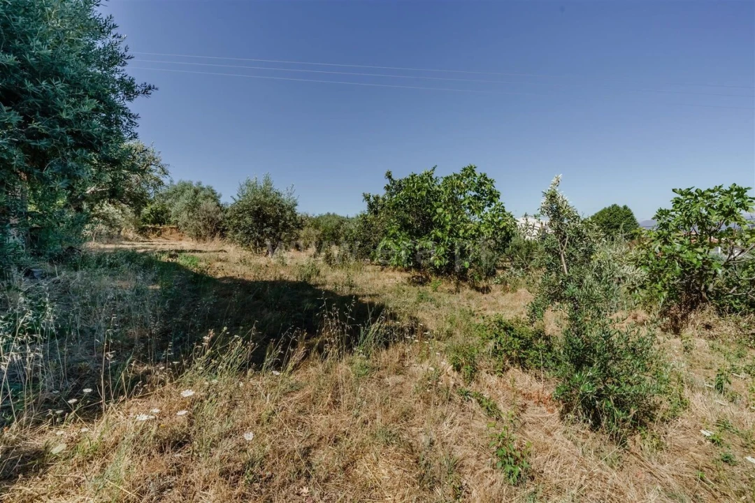 Terreno para Venda em Souto da Casa Foto 3