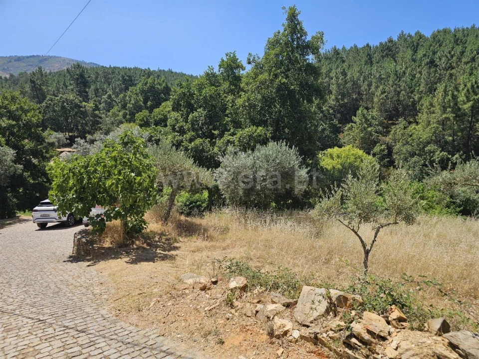Terreno para Venda em Souto da Casa Foto 6