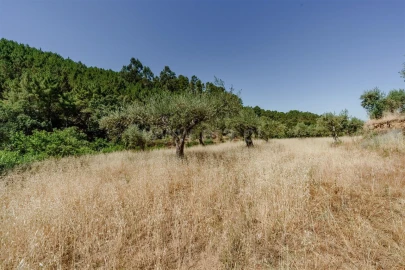 Terreno para Venda em Souto da Casa