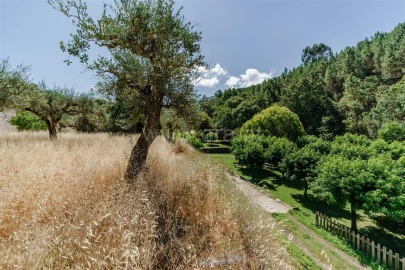 Terreno para Venda em Souto da Casa