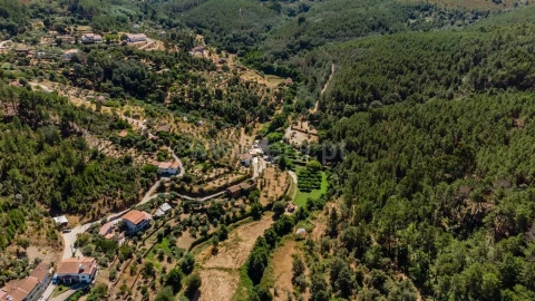 Terreno para Venda em Souto da Casa