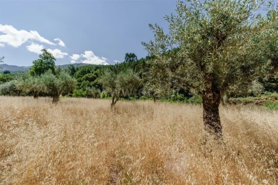 Terreno para Venda em Souto da Casa