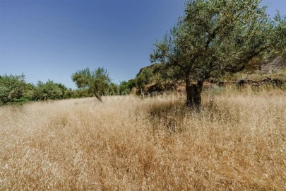 Terreno para Venda em Souto da Casa