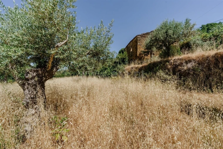 Terreno para Venda em Souto da Casa Foto 14