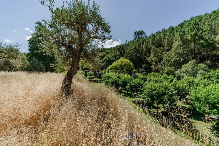 Terreno para Venda em Souto da Casa Foto 12