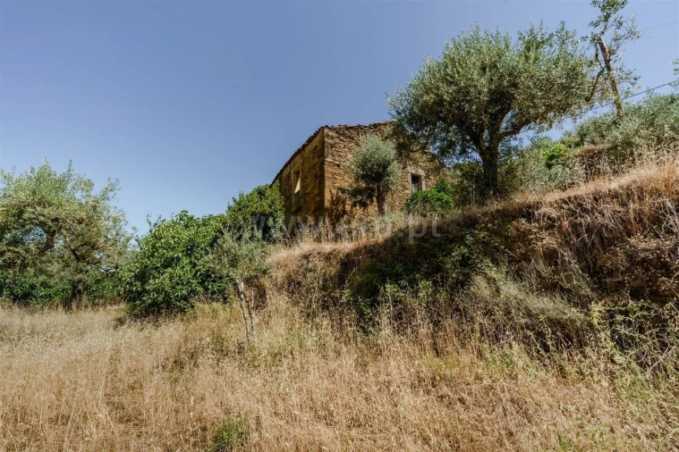 Terreno para Venda em Souto da Casa Foto 4