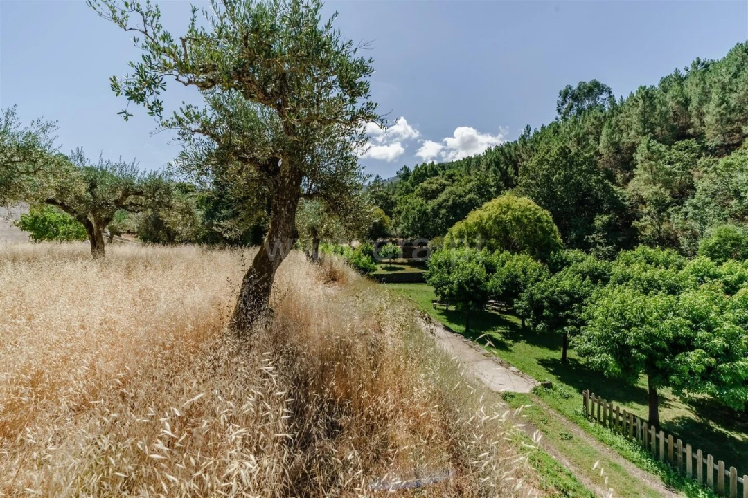 Terreno para Venda em Souto da Casa Foto 13