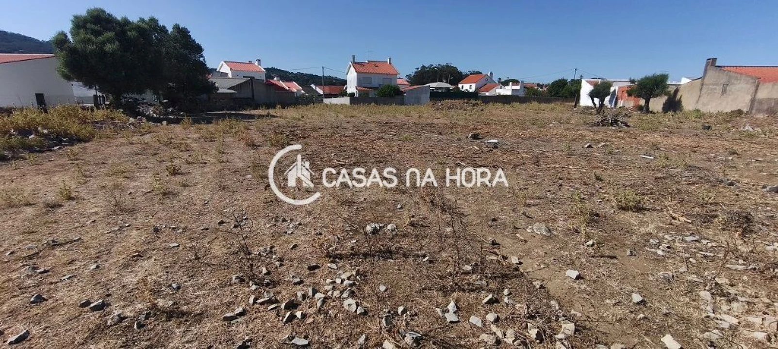 Terreno para Venda em Santa Maria e São Miguel, São Martinho, São Pedro Penaferrim Foto 4