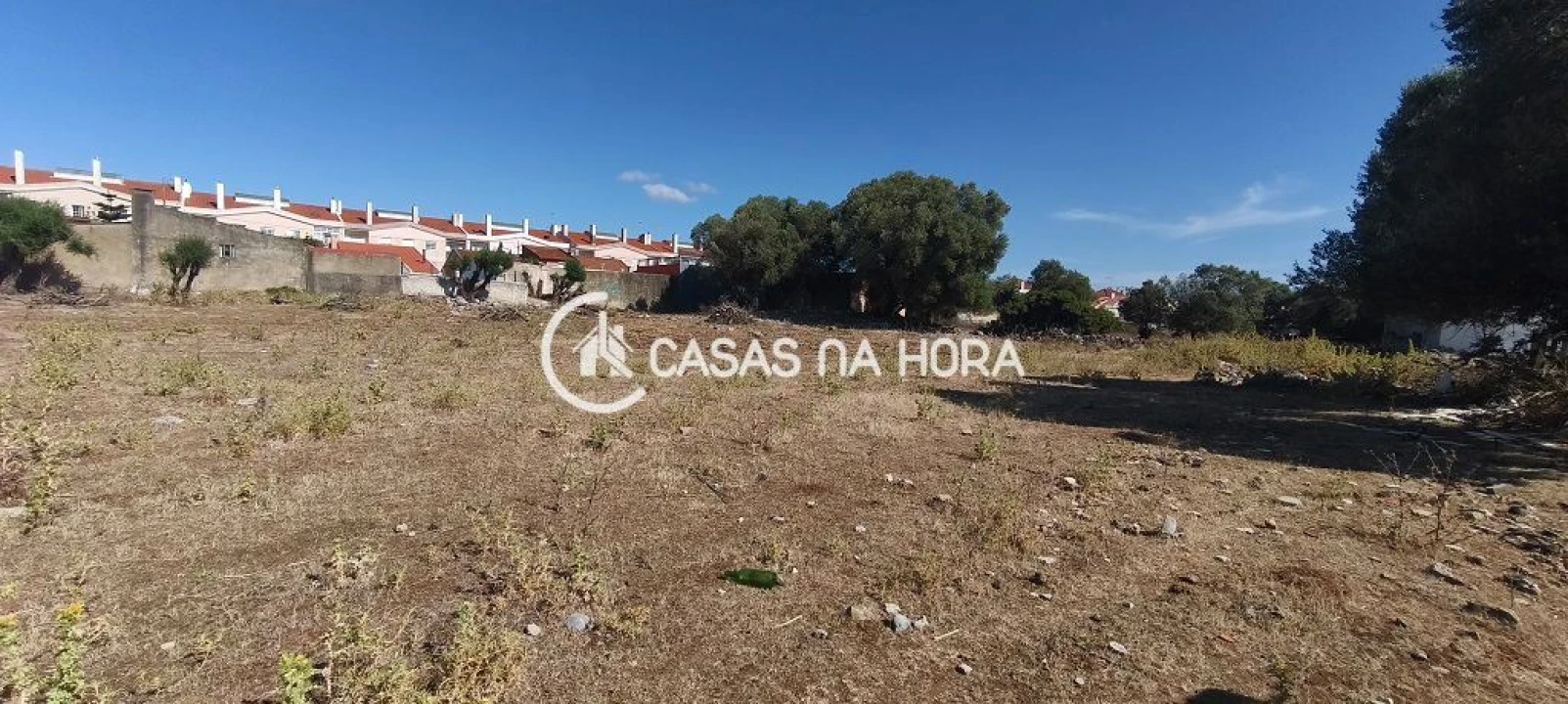 Terreno para Venda em Santa Maria e São Miguel, São Martinho, São Pedro Penaferrim Foto 6