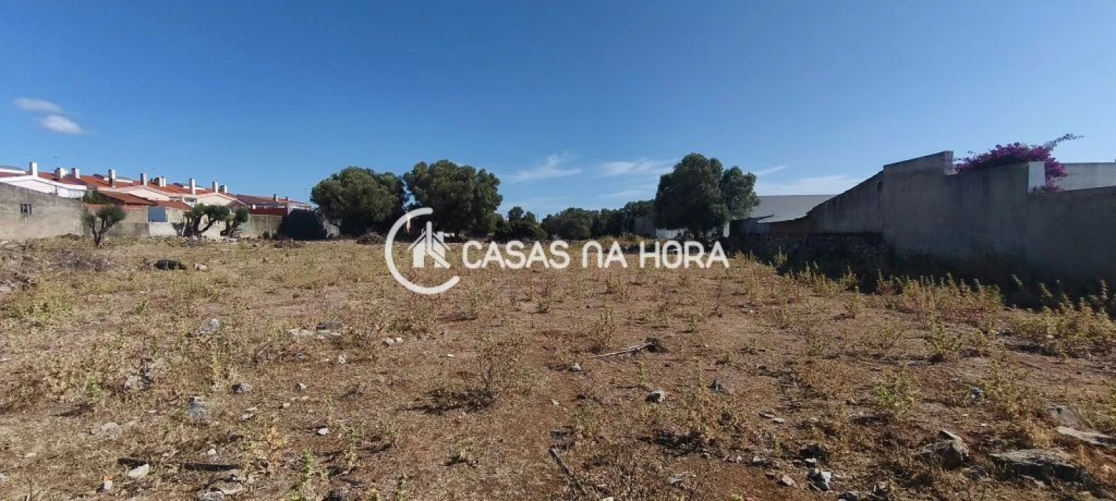 Terreno para Venda em Santa Maria e São Miguel, São Martinho, São Pedro Penaferrim Foto 9
