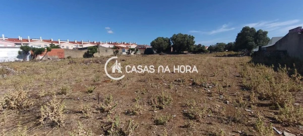 Terreno para Venda em Santa Maria e São Miguel, São Martinho, São Pedro Penaferrim
