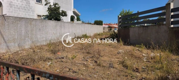 Terreno para Venda em Santa Maria e São Miguel, São Martinho, São Pedro Penaferrim