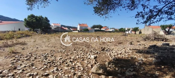 Terreno para Venda em Santa Maria e São Miguel, São Martinho, São Pedro Penaferrim
