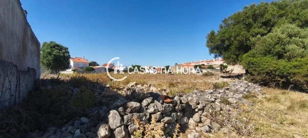 Terreno para Venda em Santa Maria e São Miguel, São Martinho, São Pedro Penaferrim