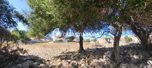 Terreno para Venda em Santa Maria e São Miguel, São Martinho, São Pedro Penaferrim