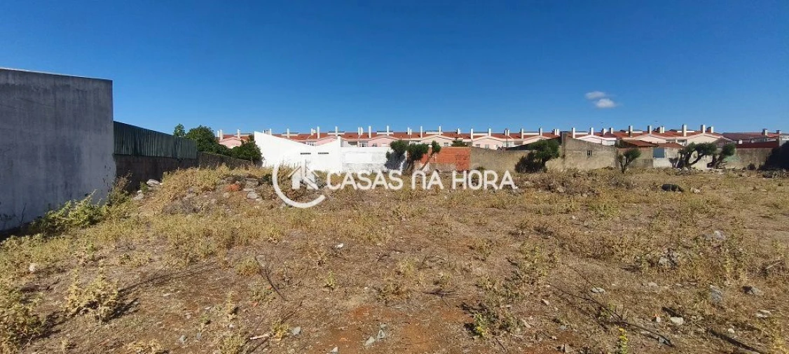 Terreno para Venda em Santa Maria e São Miguel, São Martinho, São Pedro Penaferrim Foto 8