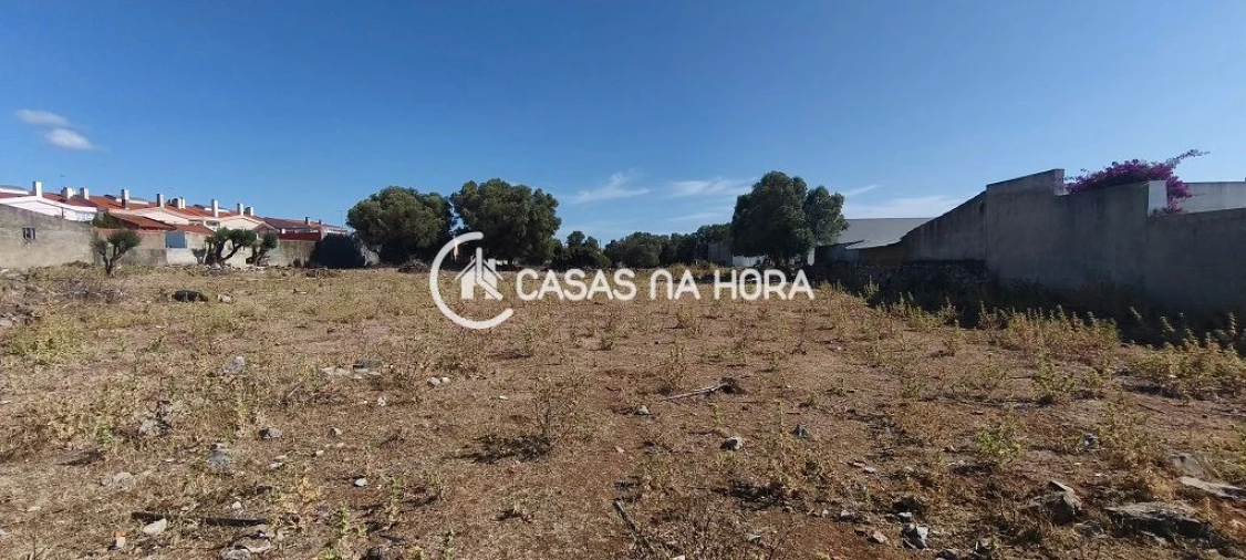 Terreno para Venda em Santa Maria e São Miguel, São Martinho, São Pedro Penaferrim Foto 9