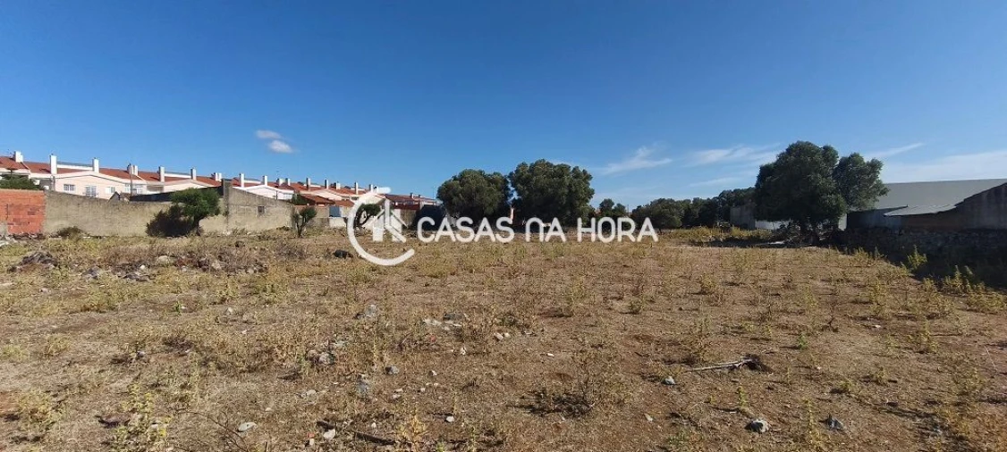 Terreno para Venda em Santa Maria e São Miguel, São Martinho, São Pedro Penaferrim Foto 10