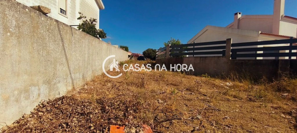 Terreno para Venda em Santa Maria e São Miguel, São Martinho, São Pedro Penaferrim Foto 12