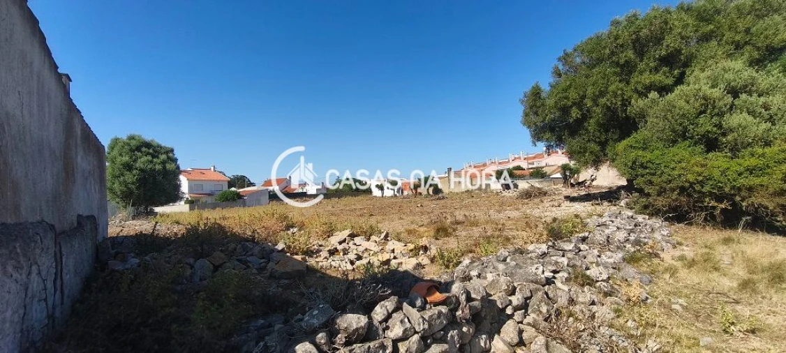 Terreno para Venda em Santa Maria e São Miguel, São Martinho, São Pedro Penaferrim Foto 15