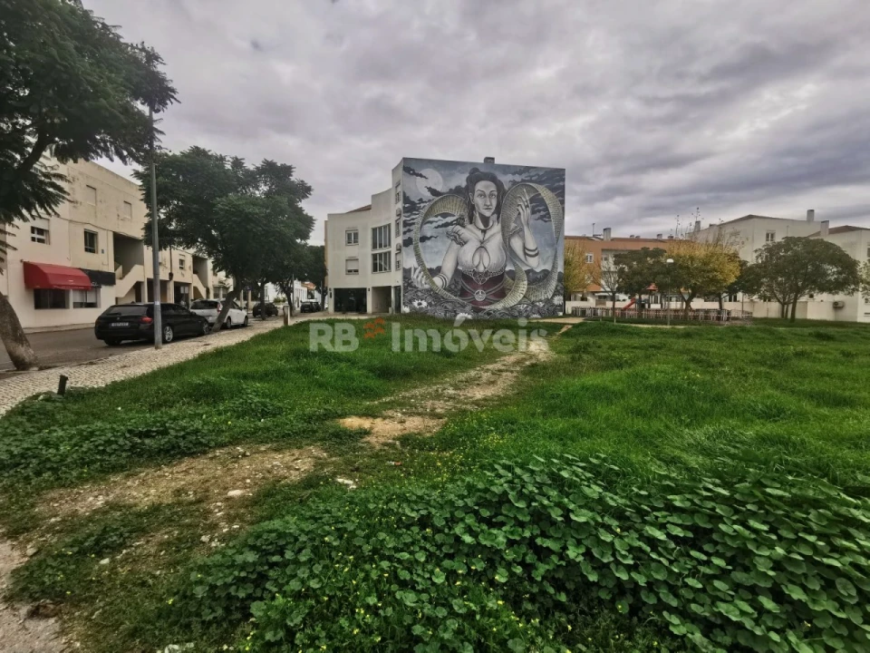 Terreno para Venda em Vila Nova da Barquinha Foto 3