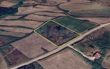 Terreno para Venda em Lourinhã e Atalaia