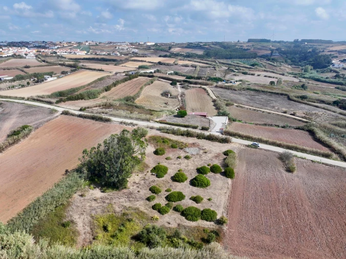 Terreno para Venda em Lourinhã e Atalaia Foto 6