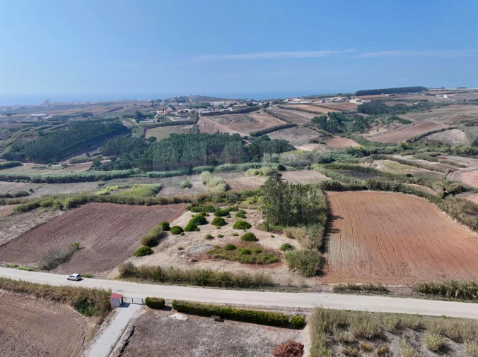 Terreno para Venda em Lourinhã e Atalaia Foto 4