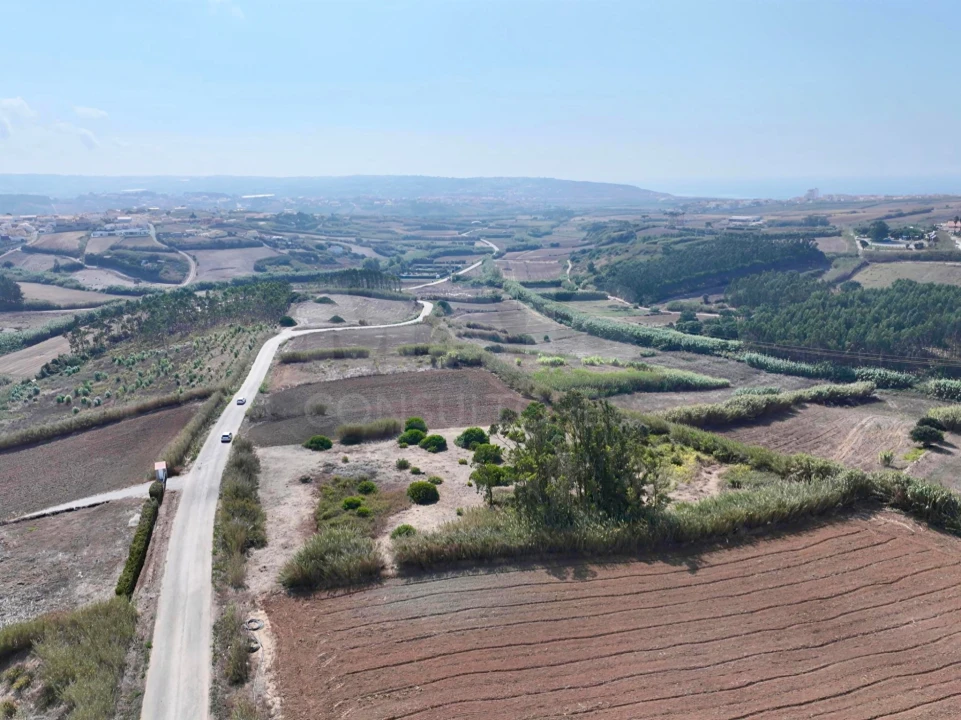 Terreno para Venda em Lourinhã e Atalaia Foto 5