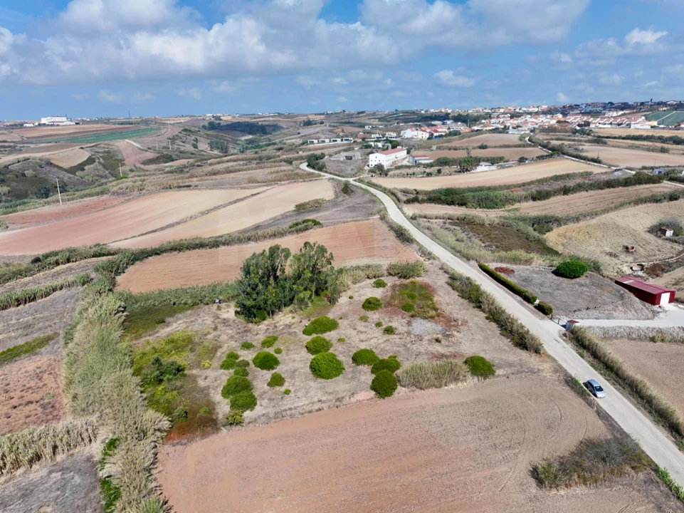 Terreno para Venda em Lourinhã e Atalaia Foto 7