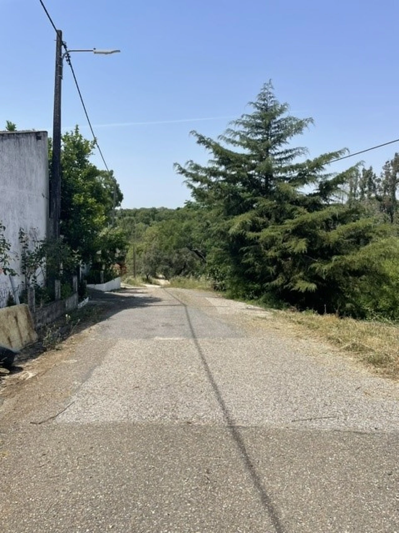 Moradia T4 para Venda em Ponte de Sor, Tramaga e Vale de Açor Foto 25