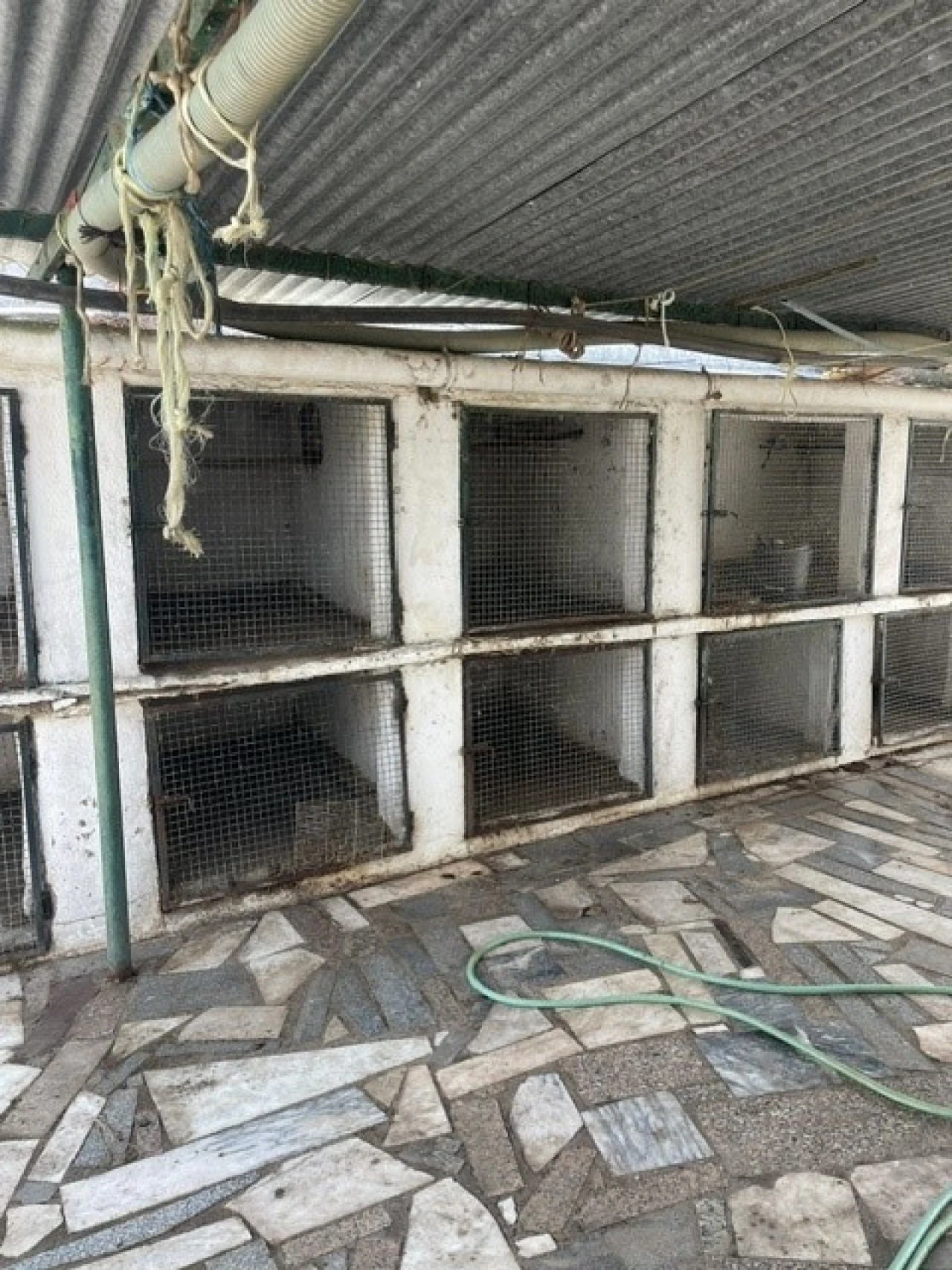 Moradia T4 para Venda em Ponte de Sor, Tramaga e Vale de Açor Foto 20