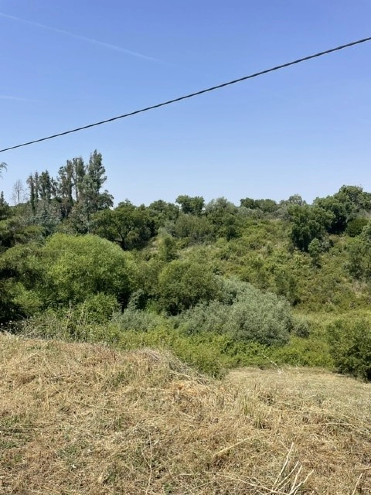 Moradia T4 para Venda em Ponte de Sor, Tramaga e Vale de Açor Foto 26