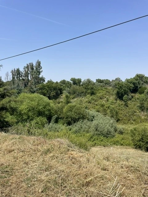 Moradia T4 para Venda em Ponte de Sor, Tramaga e Vale de Açor