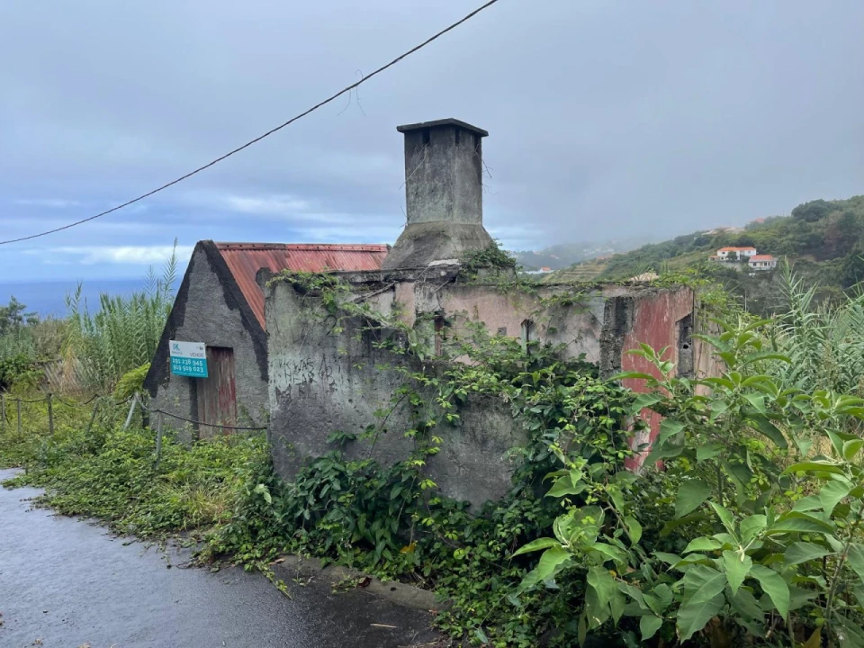 Terreno para Venda em São Jorge Foto 1