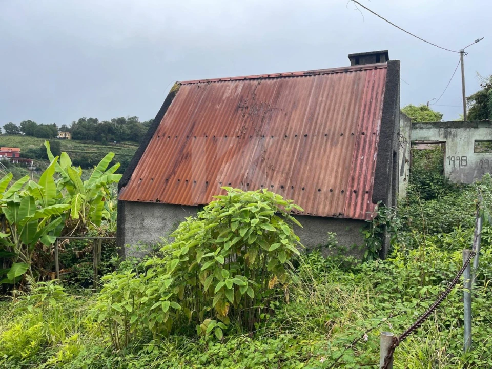 Terreno para Venda em São Jorge Foto 3