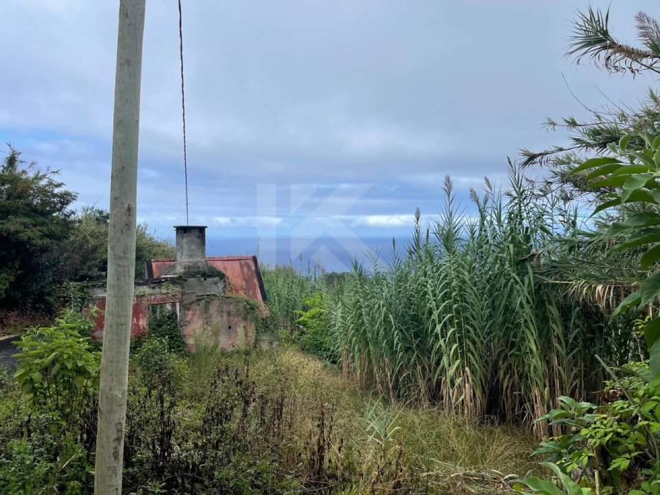 Terreno para Venda em São Jorge Foto 5