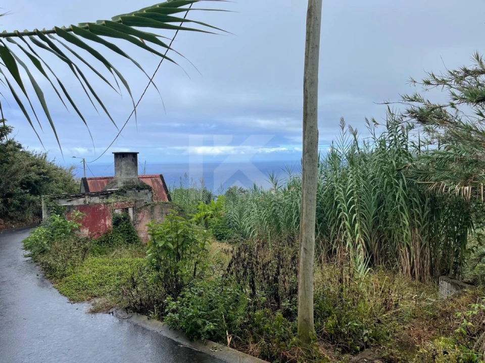 Terreno para Venda em São Jorge Foto 6