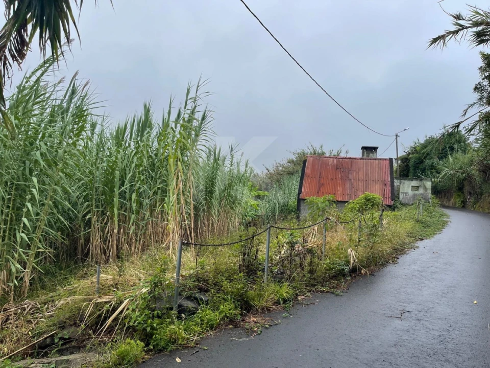 Terreno para Venda em São Jorge Foto 7