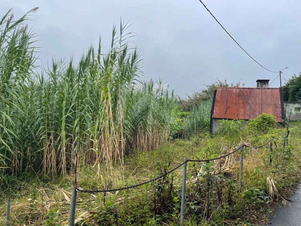 Terreno para Venda em São Jorge Foto 9