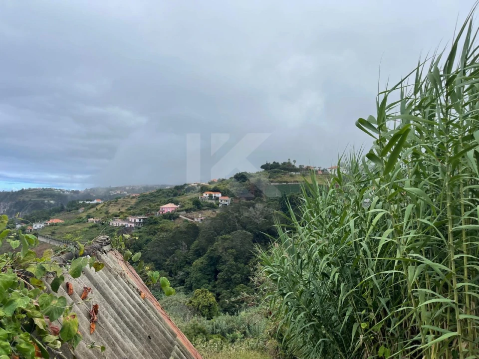 Terreno para Venda em São Jorge Foto 12