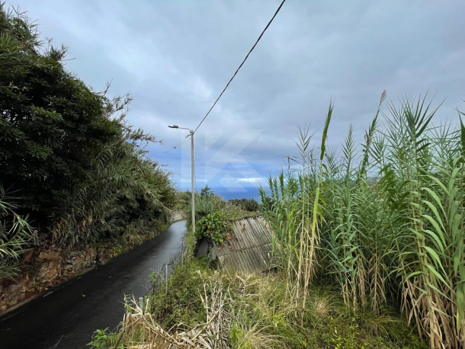 Terreno para Venda em São Jorge Foto 16