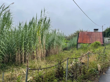 Terreno para Venda em São Jorge