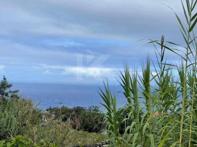 Terreno para Venda em São Jorge Foto 13
