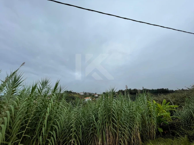 Terreno para Venda em São Jorge Foto 15