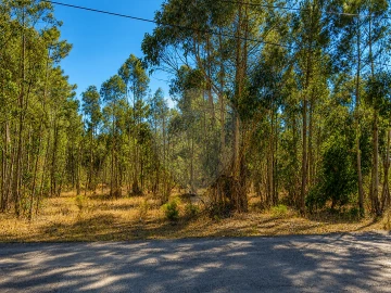Terreno para Venda em Quinta do Anjo