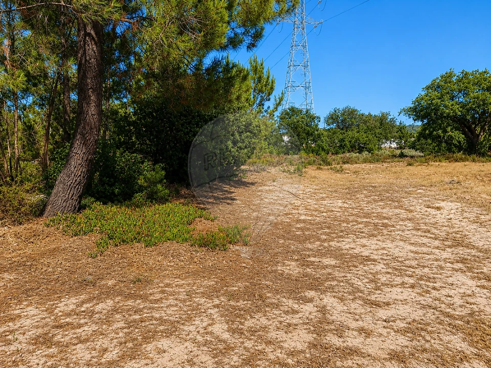 Terreno para Venda em Quinta do Anjo Foto 3
