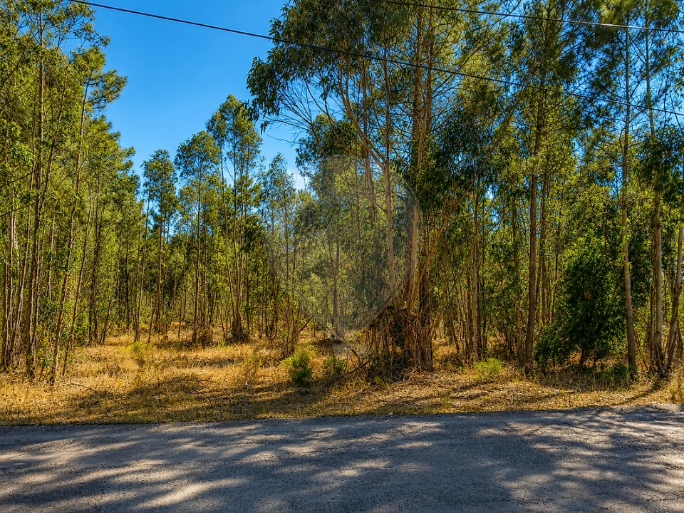 Terreno para Venda em Quinta do Anjo Foto 4