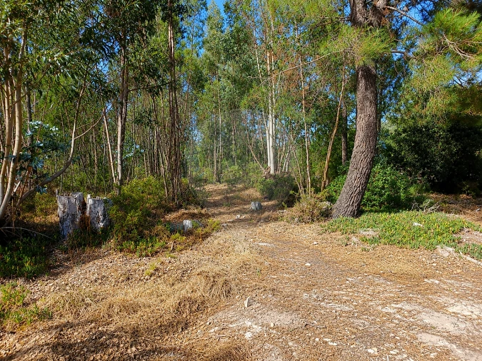 Terreno para Venda em Quinta do Anjo Foto 5